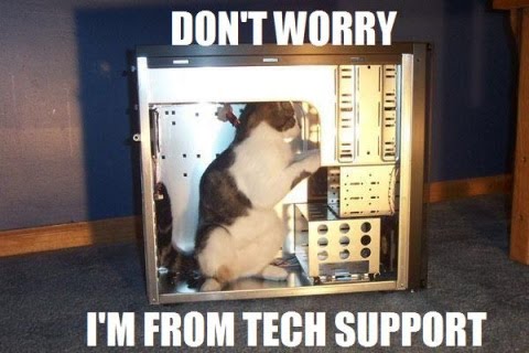 Crazy tech support kitty